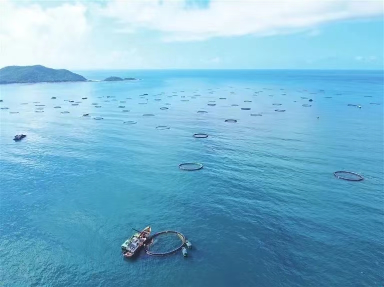 再攀新高！三亞農投海洋產(chǎn)業(yè)有限公司成功入選海南省專(zhuān)精特新企業(yè)