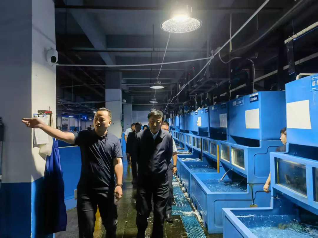 劉耿調研三亞環(huán)農海鮮集采分銷(xiāo)中心運營(yíng)情況 